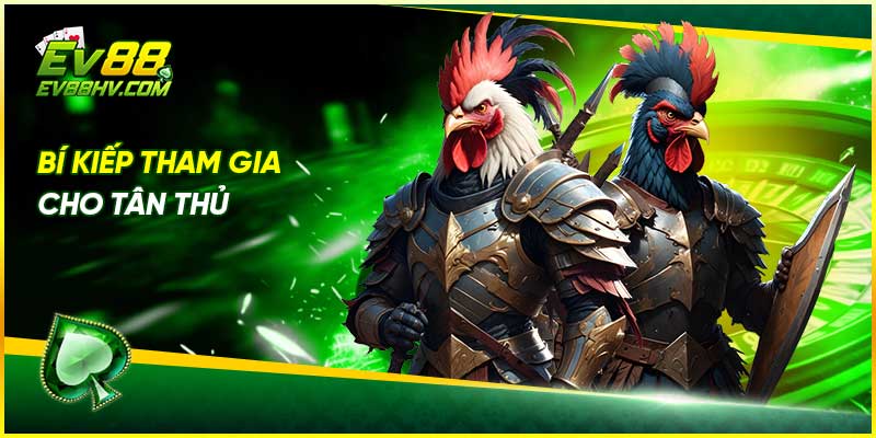 Bí kíp tham gia cho tân thủ